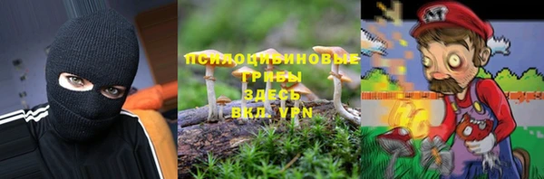 сатива Кукмор