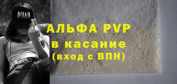 сатива Кукмор