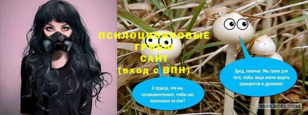 сатива Кукмор